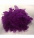 Purple Feathers 